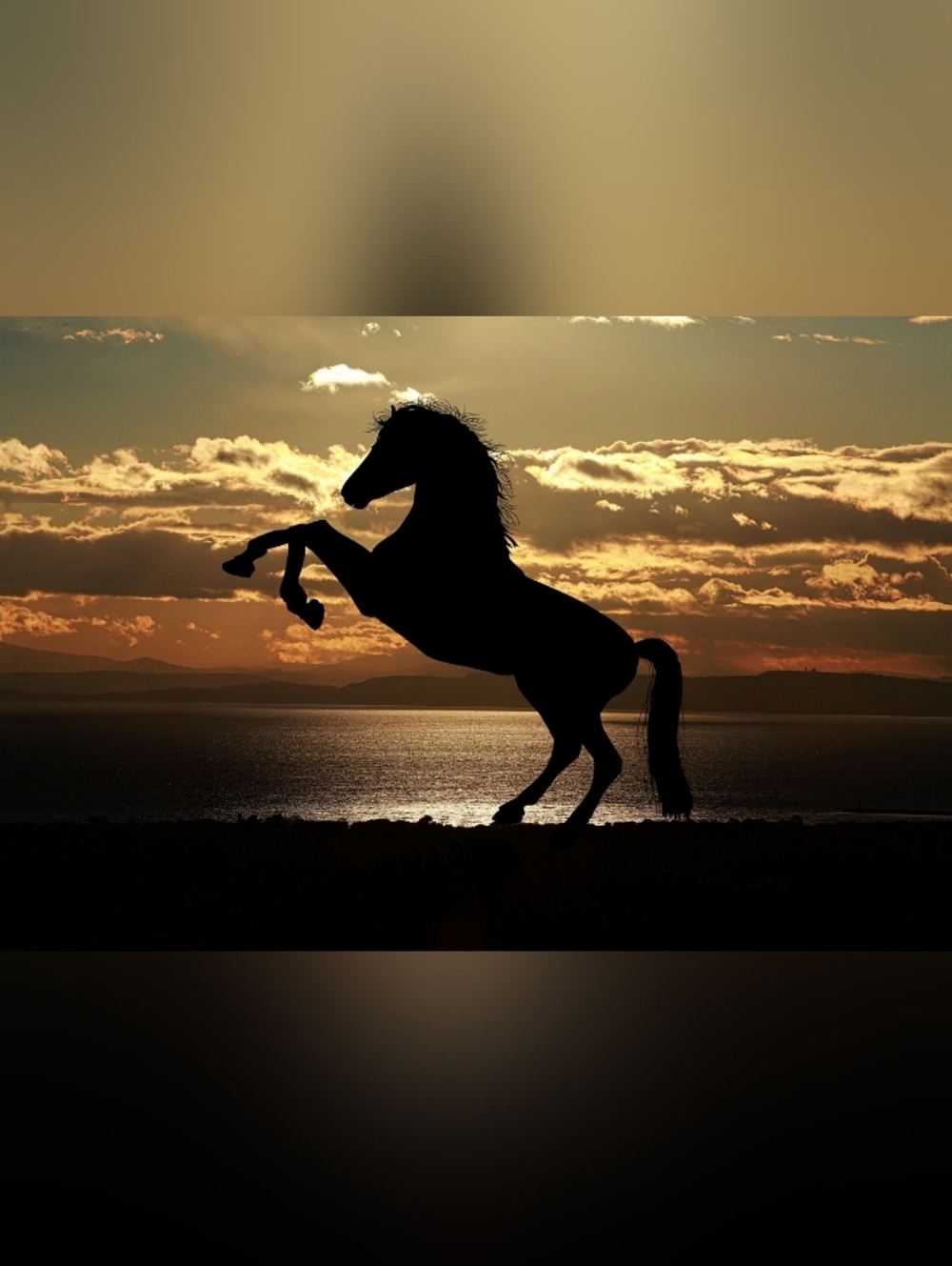 Silhouette Rearing Horse Custom Fridge Magnet Home Kitchen Office Decor